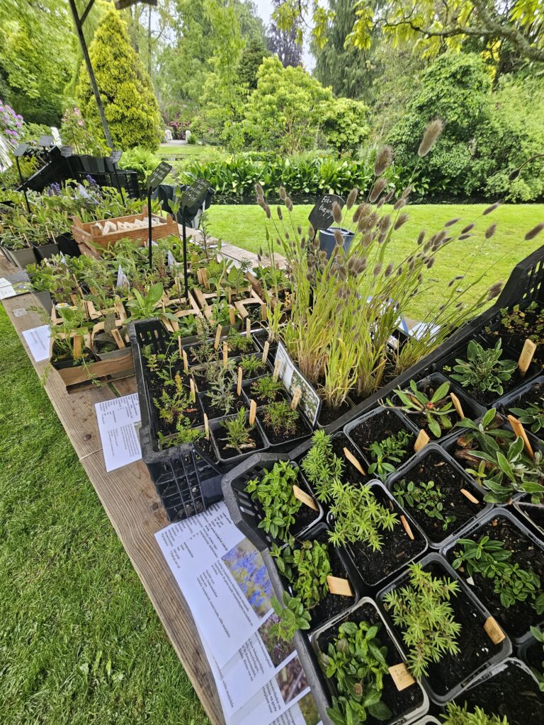 Trompenburg plantenmarkt kraam Buitenkweek